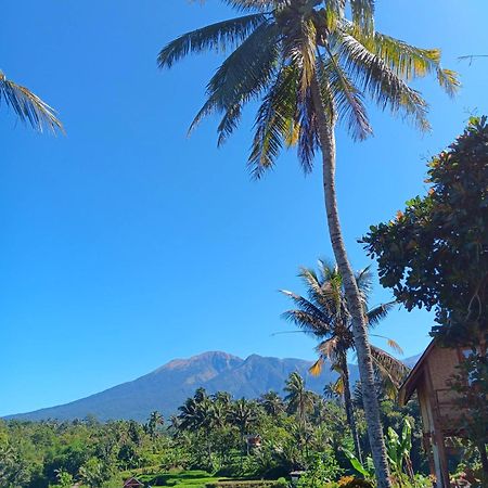 Dewi Rinjani Homestay Tetebatu Exterior photo