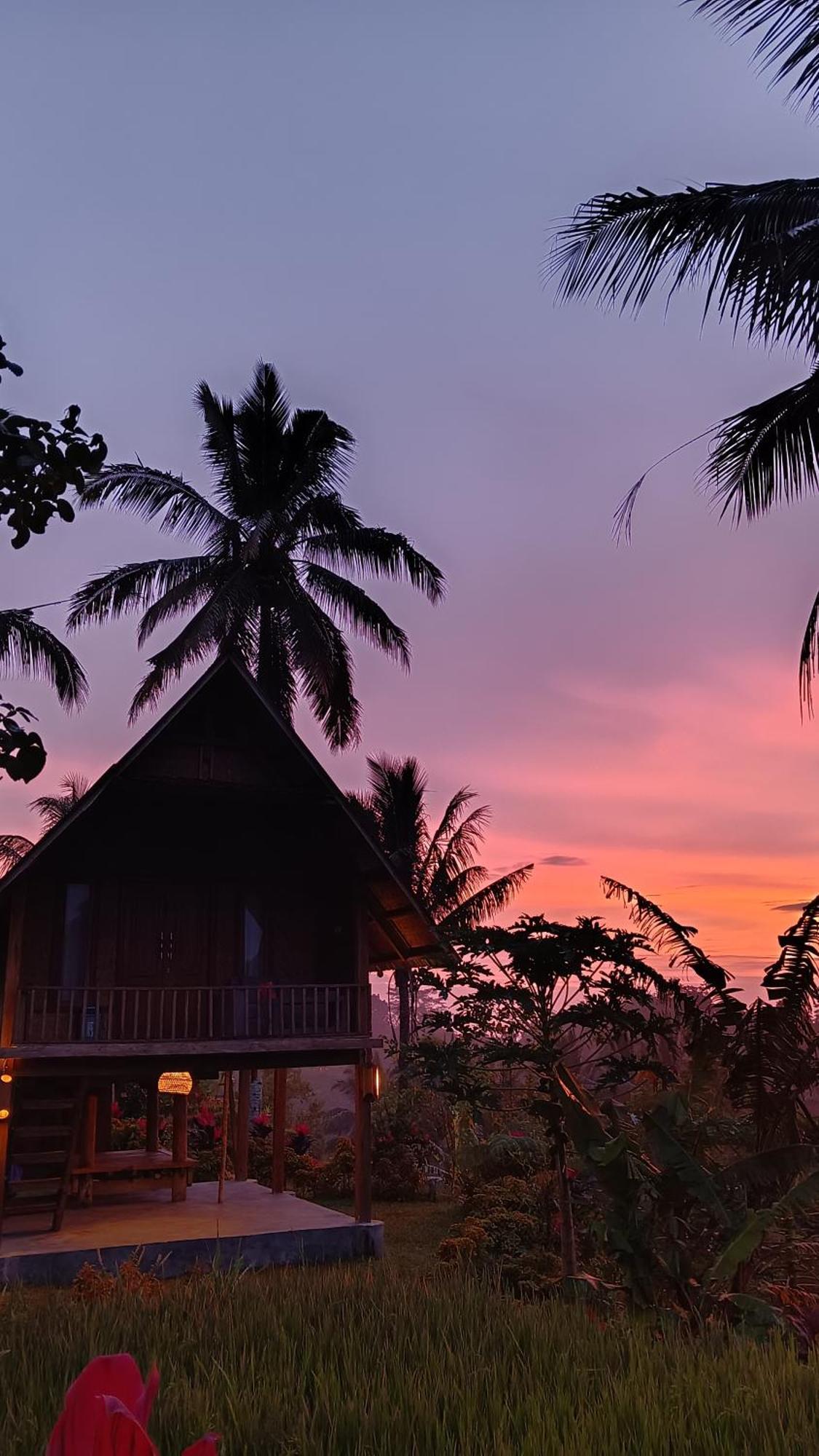 Dewi Rinjani Homestay Tetebatu Exterior photo